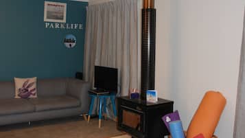 Smart-TV, Kamin, BĂŒcher