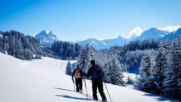 Wintersport/Ski