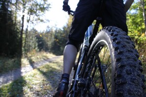 Primer plano de una llanta de bicicleta en un sendero.