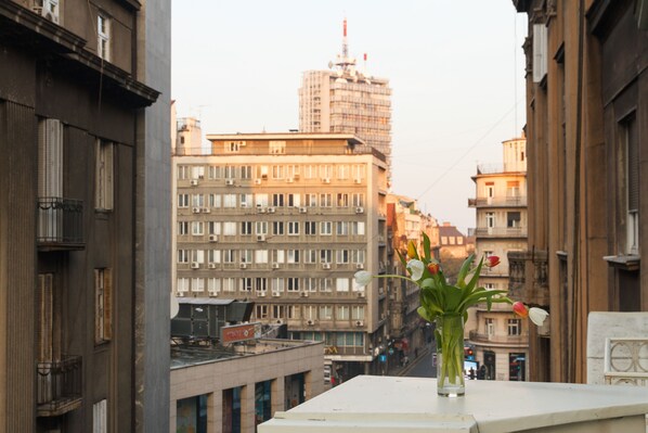 City Apartment, 1 Bedroom, Terrace, City View | View from room