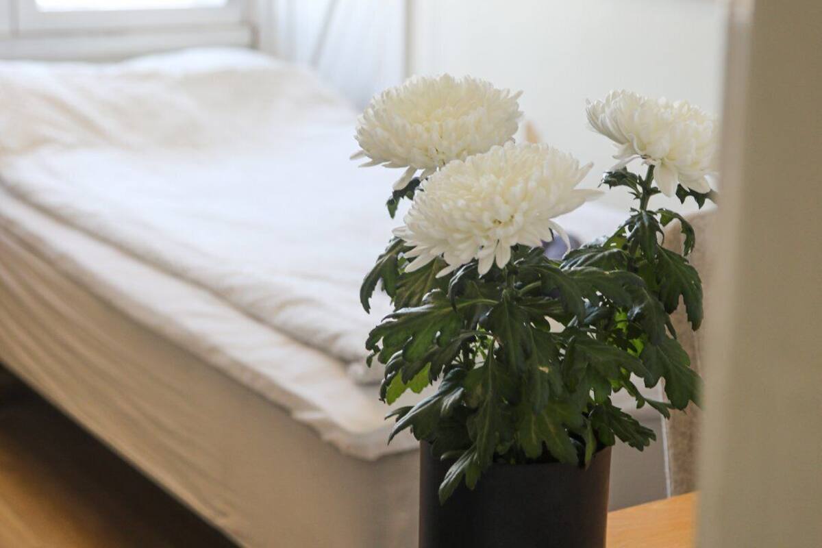 A bedroom with a bed, a wooden nightstand, and a potted plant with white flowers.
