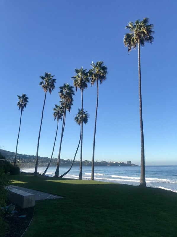 Sun-loungers, beach towels