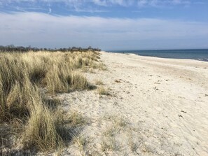 Una playa arenosa con hierba alta a la izquierda y un cielo despejado.