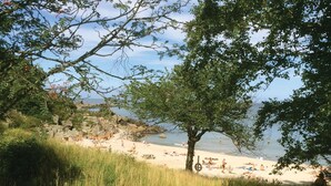 A beach with people sunbathing and swimming, surrounded by trees and rocky cliffs.