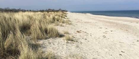 Playa en los alrededores