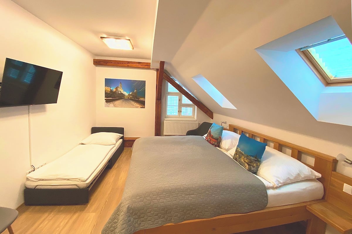 A bedroom with a bed, a TV, a painting, and a skylight.