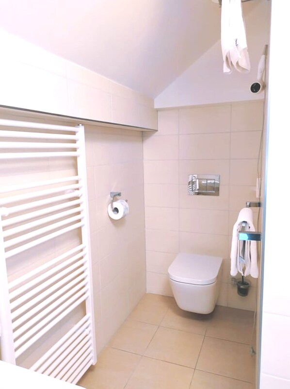 A small, clean bathroom with a toilet, a towel rack, and a toilet paper holder. - Hotel Garni Villa Areka (Cesky Krumlov)