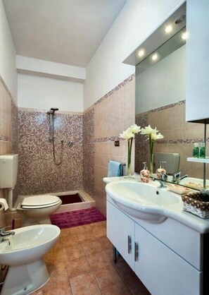 Shower, free toiletries, hair dryer, bidet