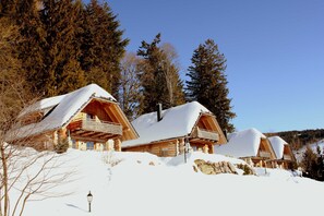 Exterior - For 1-8 persons, natural log chalets with mountain panorama - Hotel & Chalets Herrihof (Todtnau)