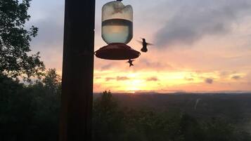 Een vogelvoerder met een vliegende vogel in de buurt, voor een zonsondergang.