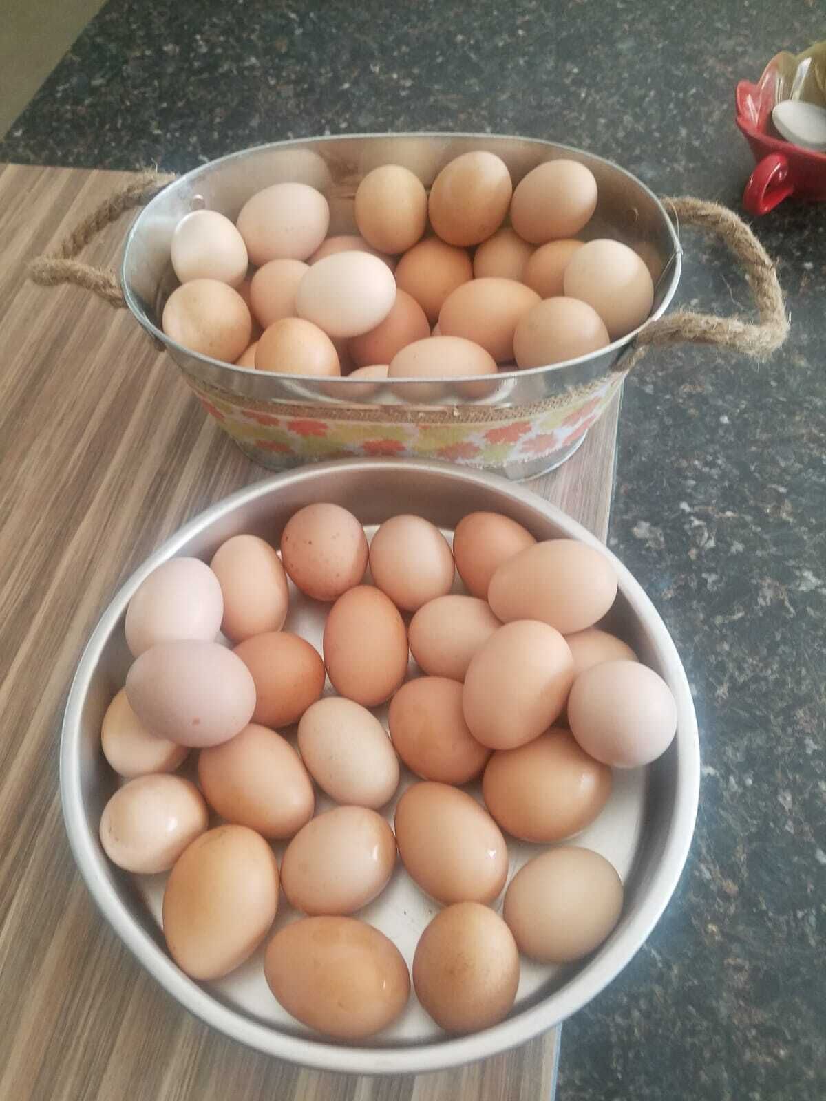 Two bowls of eggs on a wooden surface.