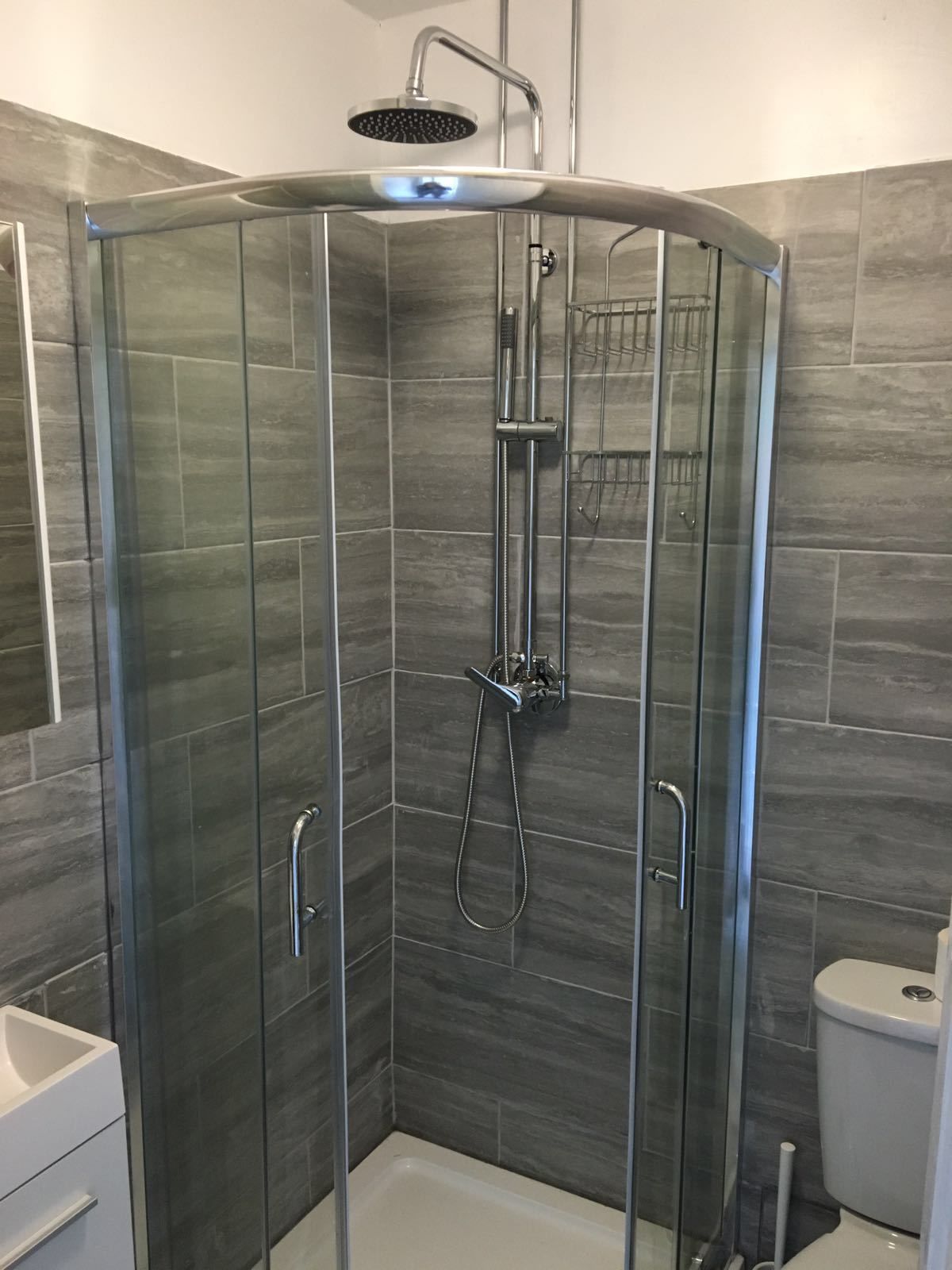 Een douchecabine met glazen wanden, een handdouche en een regendouche, een wit toilet en een witte wastafel.