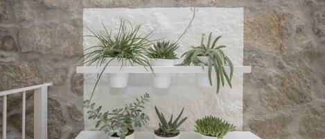 Comfort Apartment, 2 Bedrooms | Terrace/patio