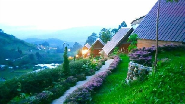 A hillside with a pathway leading to traditional-style buildings with sloped roofs. - Phu Fa Sai Homestay (Mae Rim)