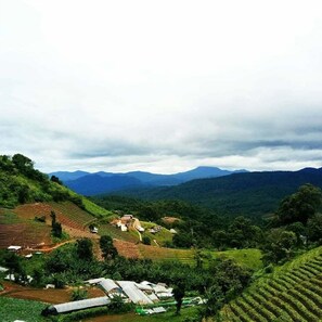 Terraced fields, a small building, and distant mountains. - Phu Fa Sai Homestay (Mae Rim)