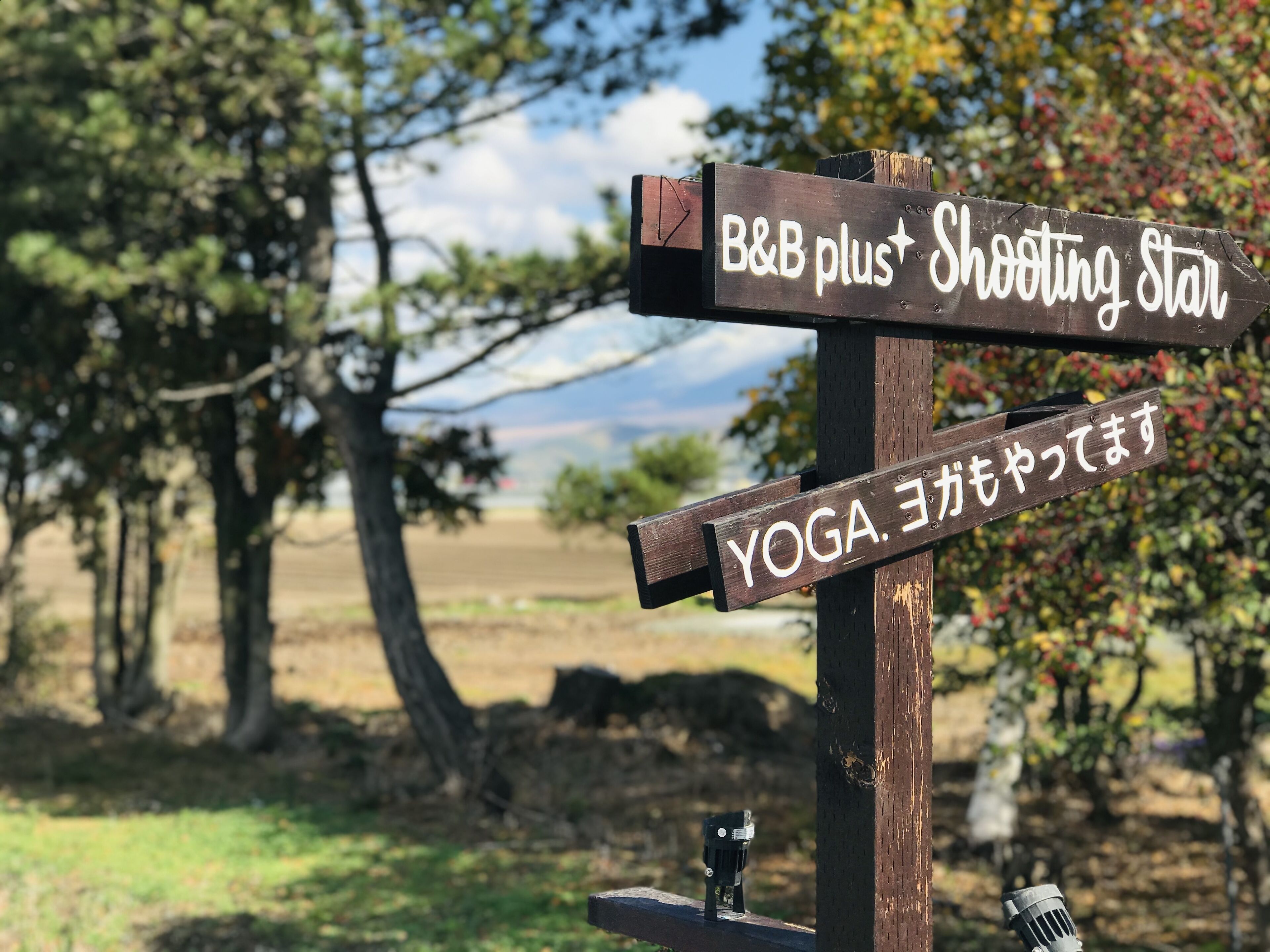 A wooden signpost with directional arrows pointing to 'B&B plus Shooting Star' and 'YOGA'.
