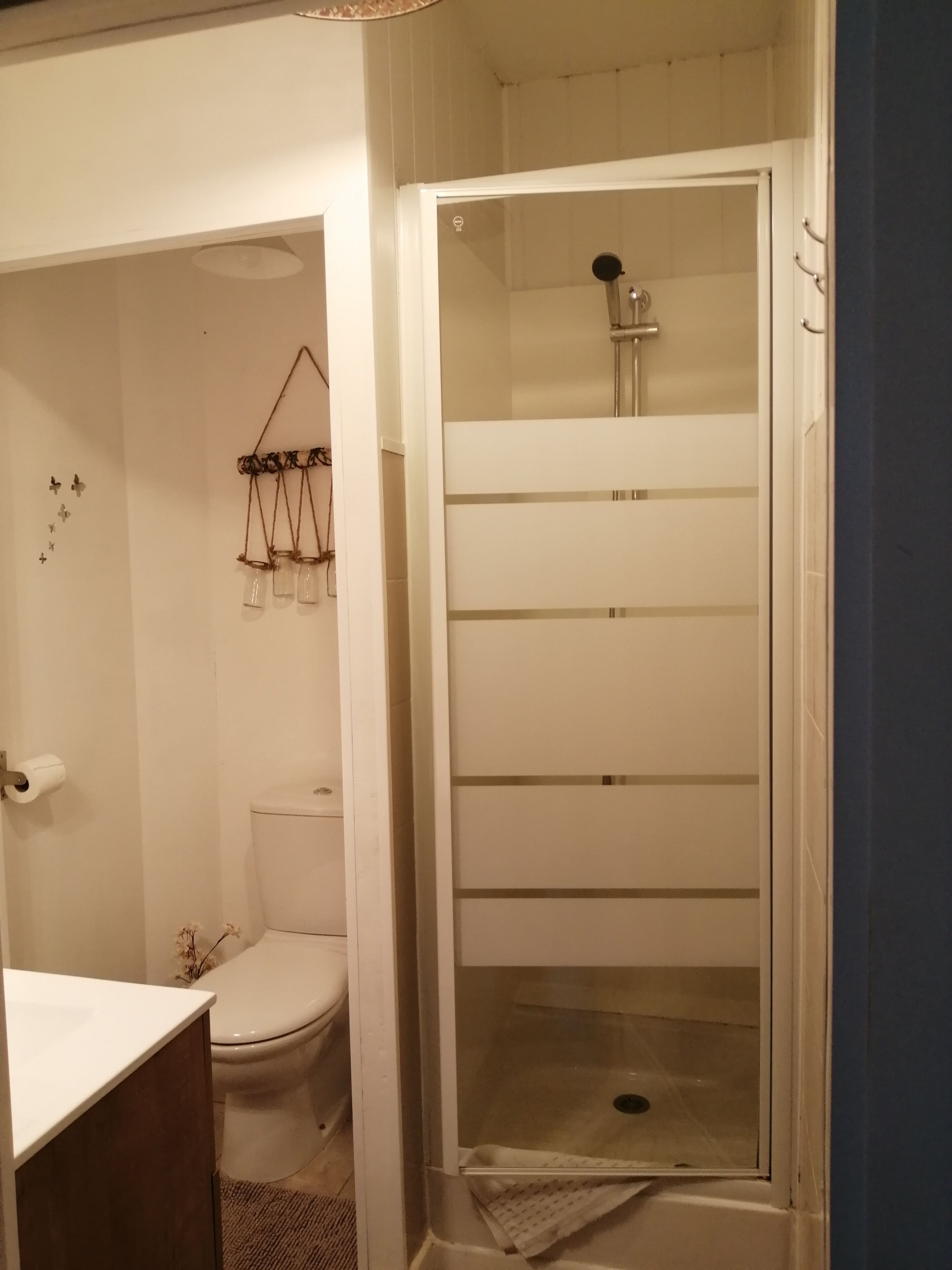 Un bagno con un water, uno spazio doccia e un lampadario.