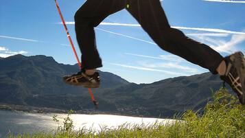 A person skiing on a clear day with mountains and a lake in the background.