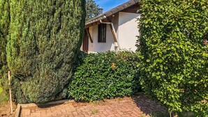 Une maison traditionnelle avec un toit en pente, entourée de haies verdoyantes et touffues et d’un grand arbre à feuilles persistantes.