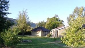 Ein gepflegter Garten mit unterschiedlichen Pflanzen und einer Laterne.