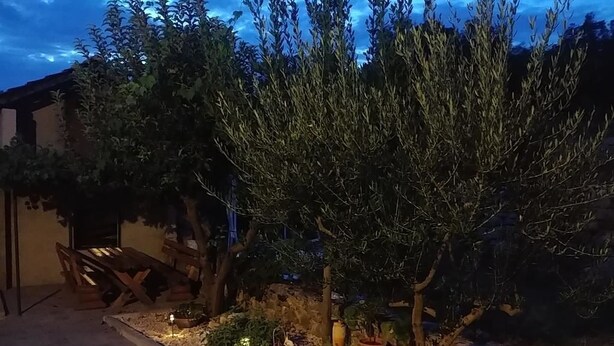 A garden area with a bench, potted plants, and a pathway. - Village House Imotski (Imotski)