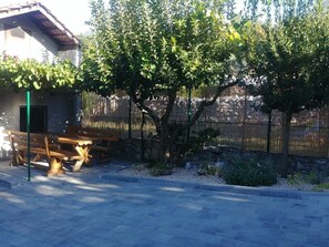 A courtyard with a wooden bench, a tree, and a stone wall.