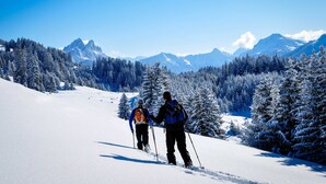 A snowy mountain landscape with two skiers. - Rossalpe - Hotel Bogner Hof (Bogen)