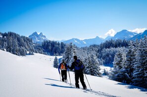 A snowy mountain landscape with two skiers. - Rossalpe - Hotel Bogner Hof (Bogen)