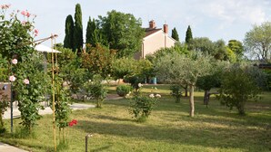 Um jardim com diversas plantas e árvores, uma pérgula coberta de rosas trepadeiras e um edifício com chaminé ao fundo.