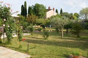 Comfort Apartment | Garden view