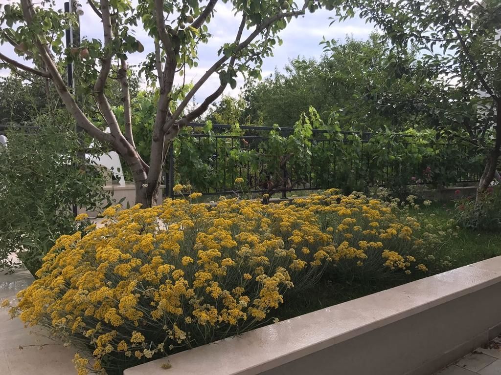 庭園