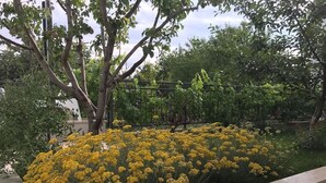 Un jardín con flores amarillas y un árbol.