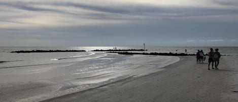Plage à proximité, chaises longues, serviettes de plage