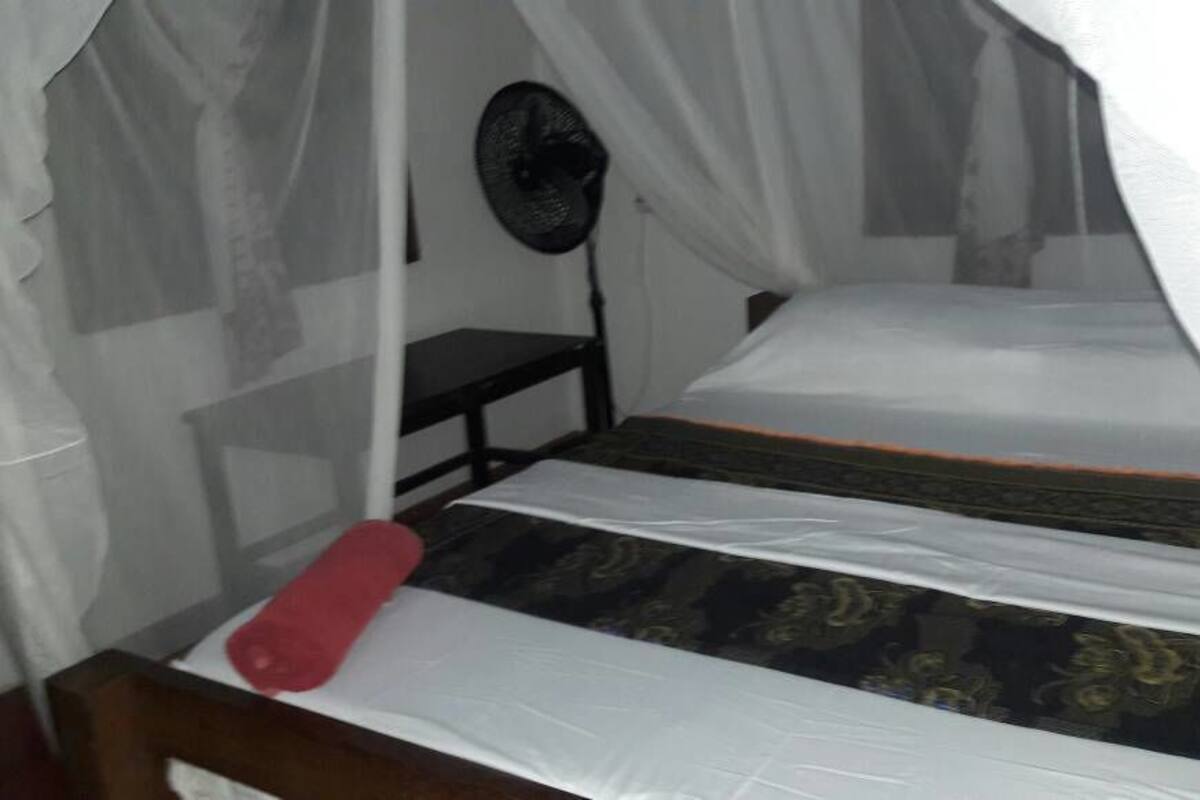 Ein Bett mit Baldachin, ein Nachttisch und ein Ventilator.