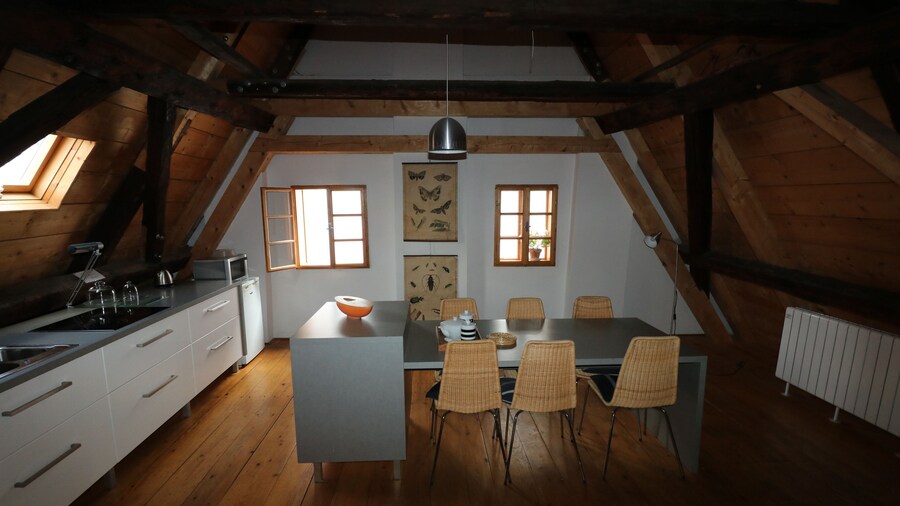 Apartment Soukenická 44