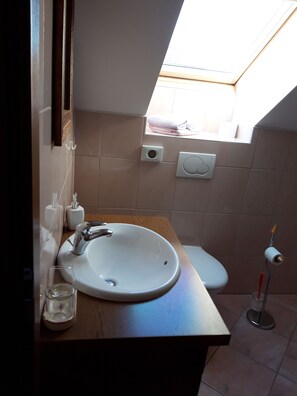 Triple Room (Moravna) | Bathroom | Shower, free toiletries, hair dryer, slippers - Merkez Guest House (Brezice)