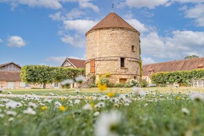 Garden - Domaine St Germer (Reilly)