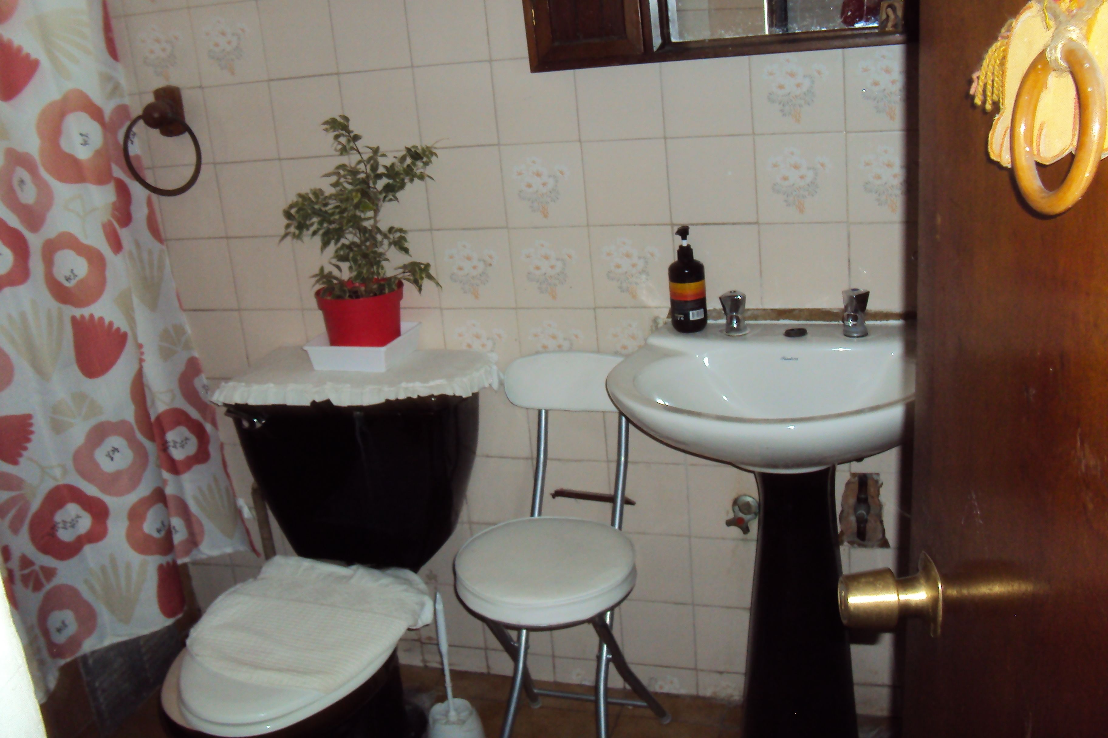 A bathroom with a toilet, a sink, a small stool, and a potted plant.