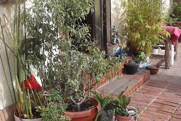 Detalle del exterior