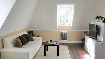 40-inch flat-screen TV with satellite channels, TV