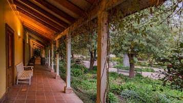 Standard Double or Twin Room | View from room