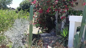 Un jardín con diversos cactus y plantas en flor, una reja blanca y un edificio al fondo.