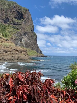 A coastal landscape with a cliff and ocean. - Jaca - Hostel (Machico)