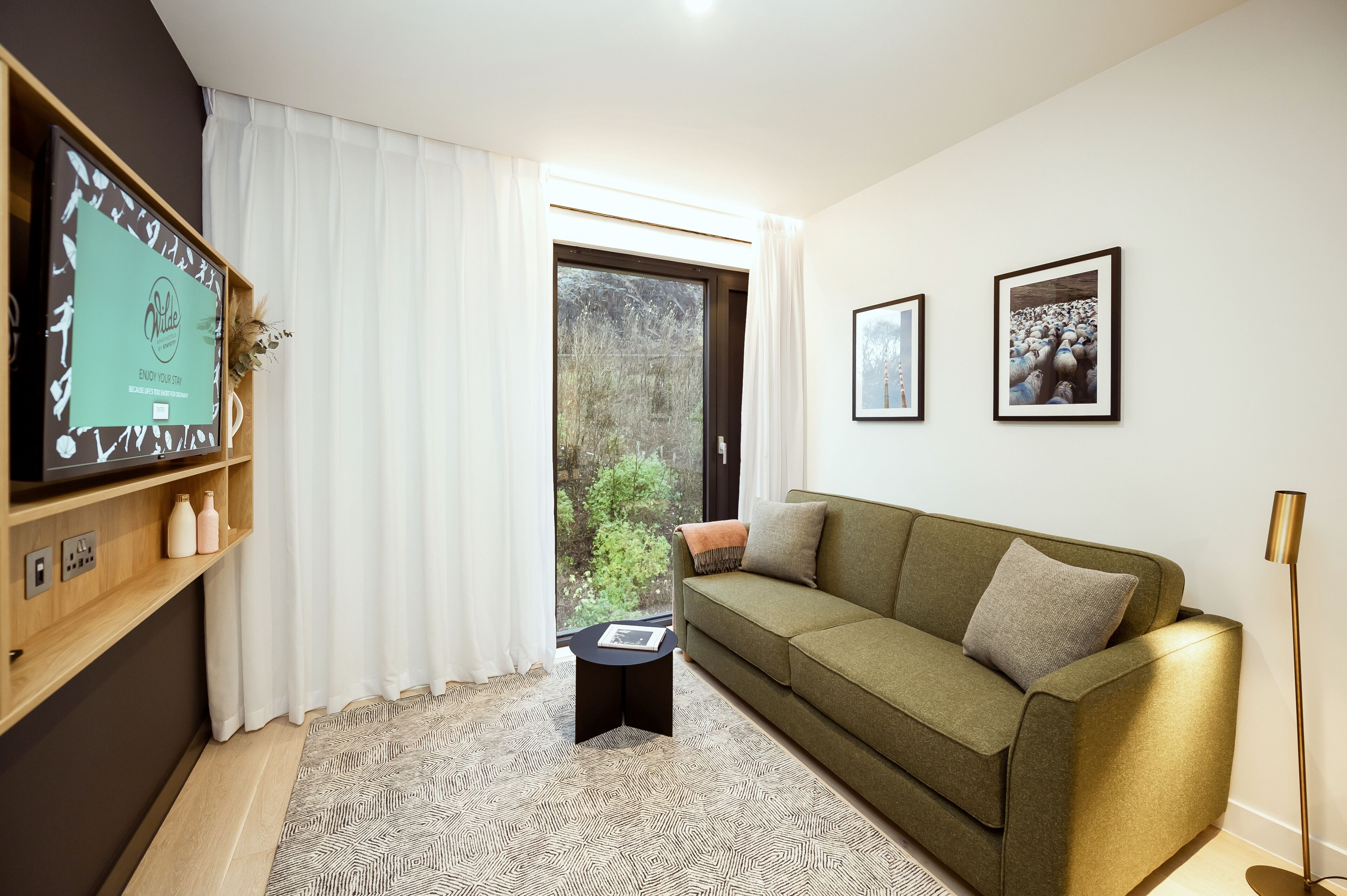 Uma sala de estar moderna com um sofá verde, uma mesinha de apoio, uma televisão de tela plana em uma estante de madeira e quadros nas paredes.