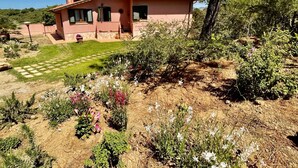 Eksteriør