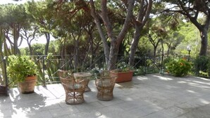 Une terrasse extérieure avec des meubles en osier et des plantes en pot.