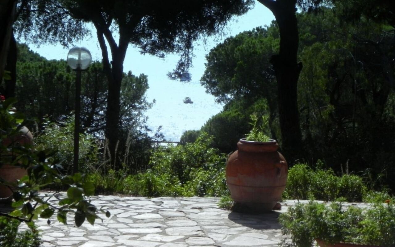 Een pad van stenen loopt naar een grote terracotta pot, omringd door weelderig groen en bomen.