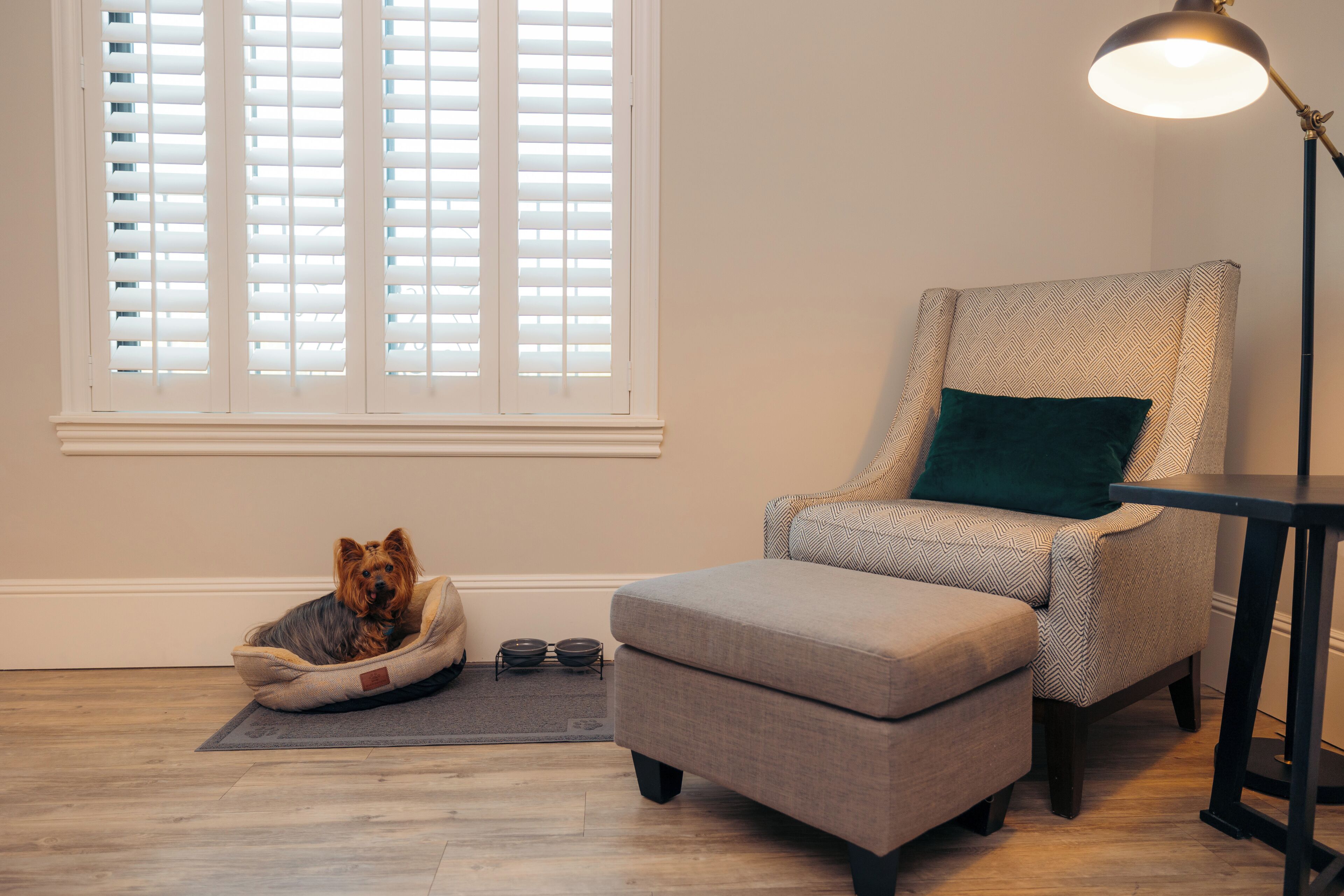 1 bedroom, hypo-allergenic bedding, in-room safe, desk