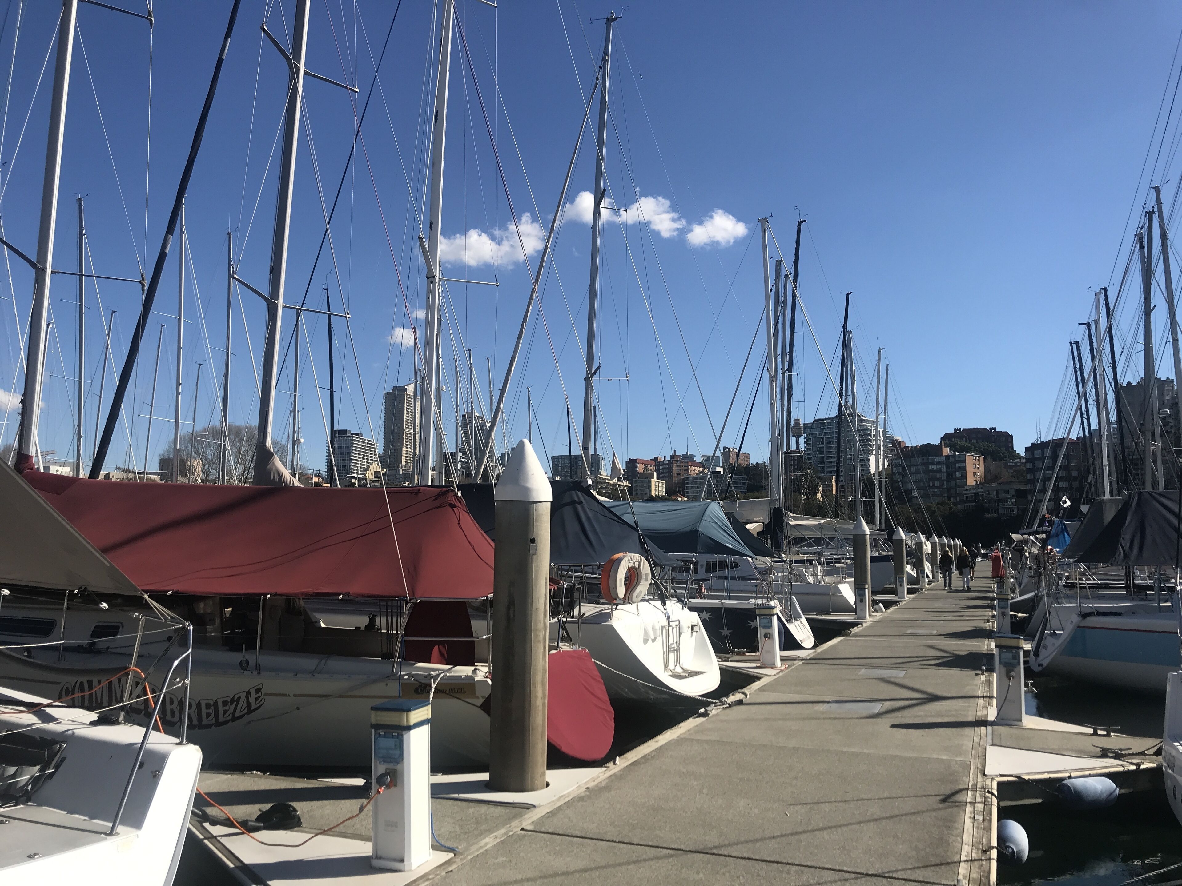 Luxury Harbour and City Skyline Views — image 8