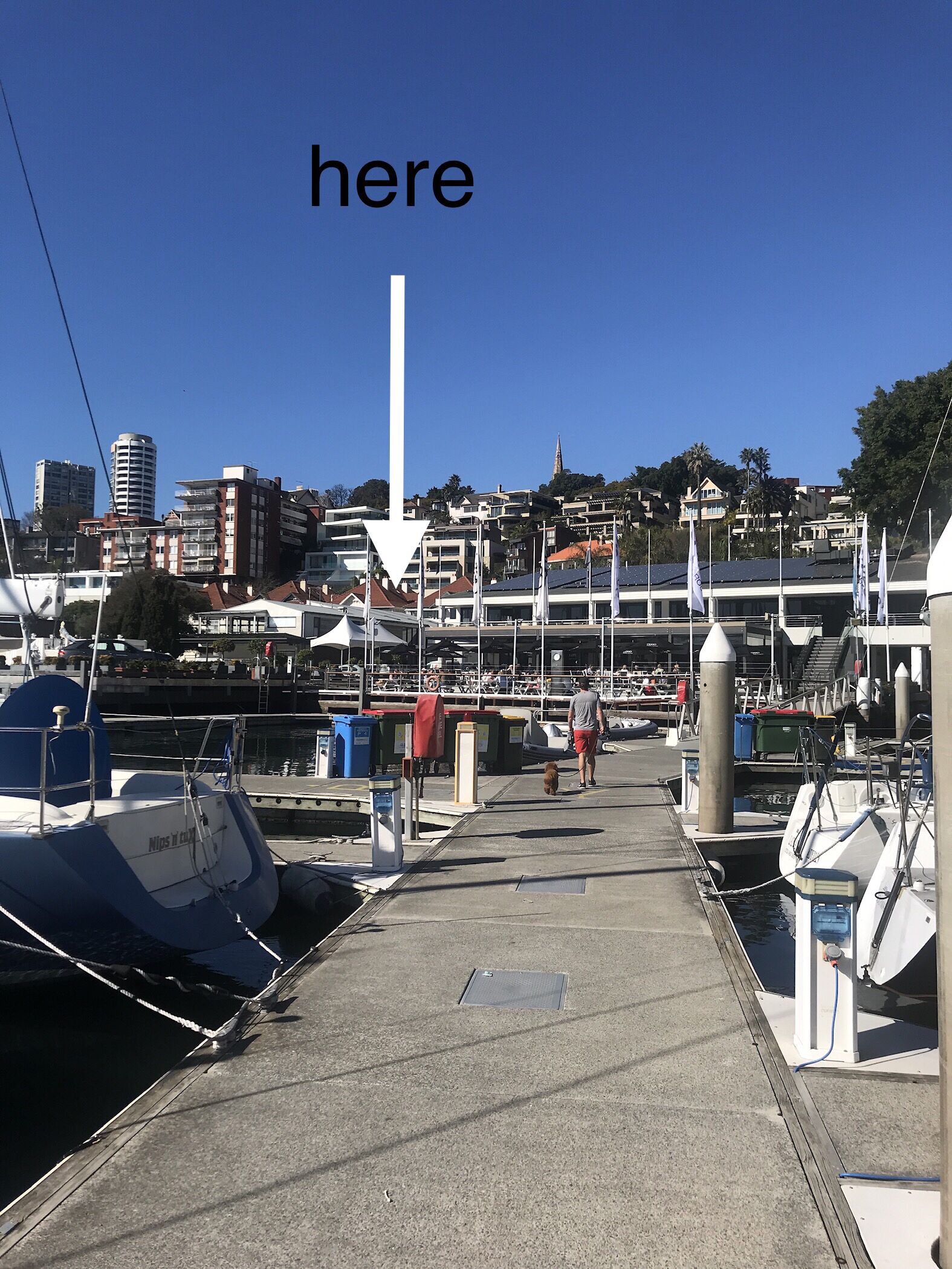 Luxury Harbour and City Skyline Views — image 7